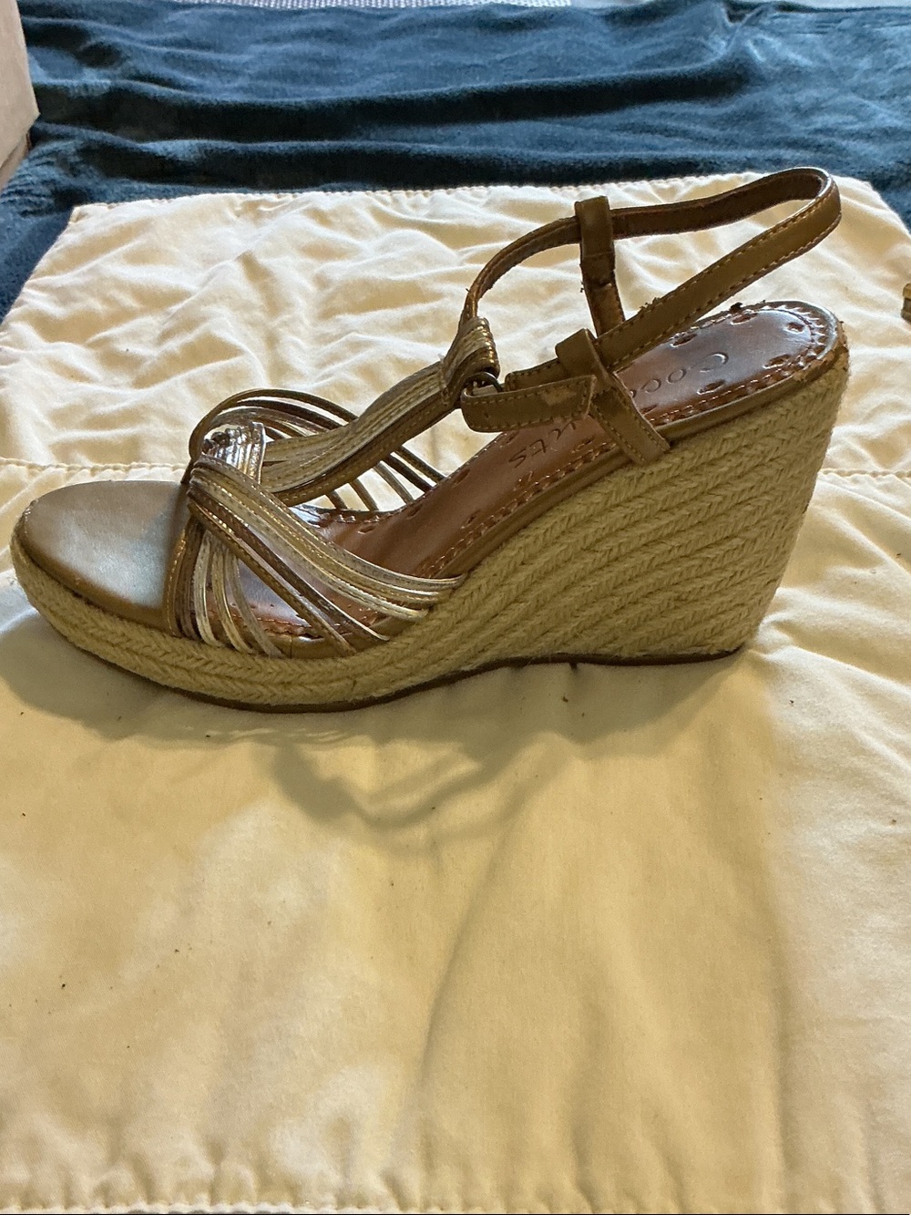 Coconuts by Matisse Metallic Gold Espadrille Wedge Sandal